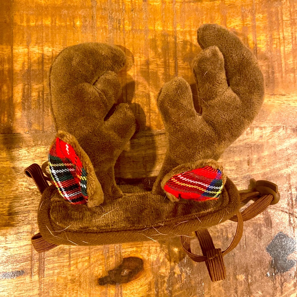 Reindeer antlers dog costume